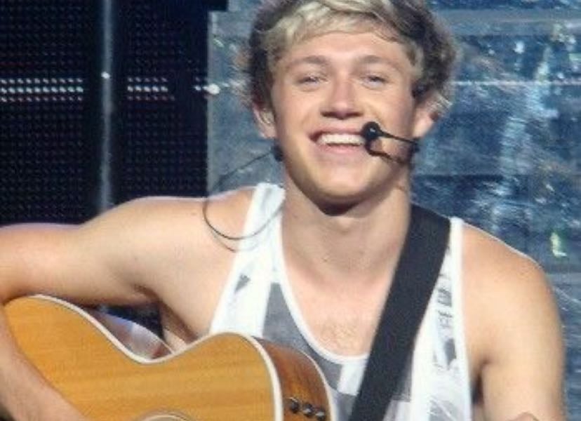 Bast niall songs - Music hypelist by 1D
