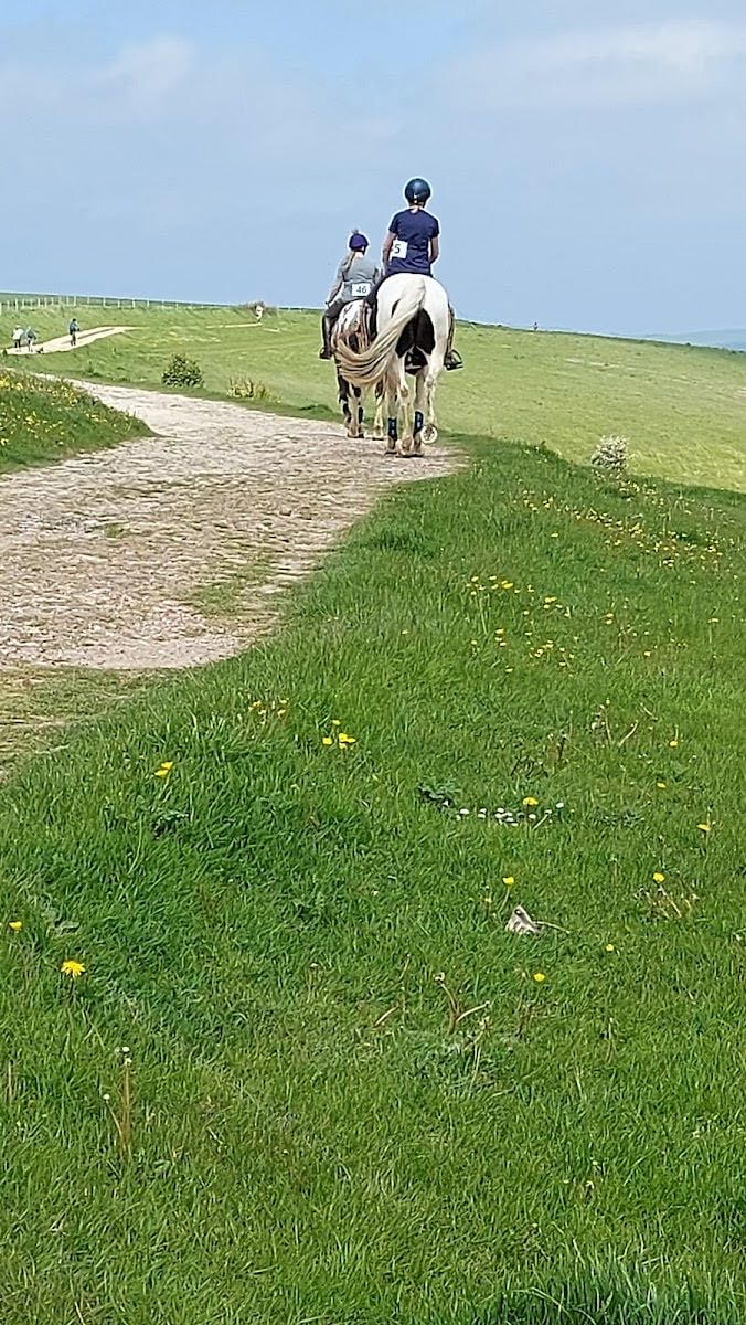 South Downs Way