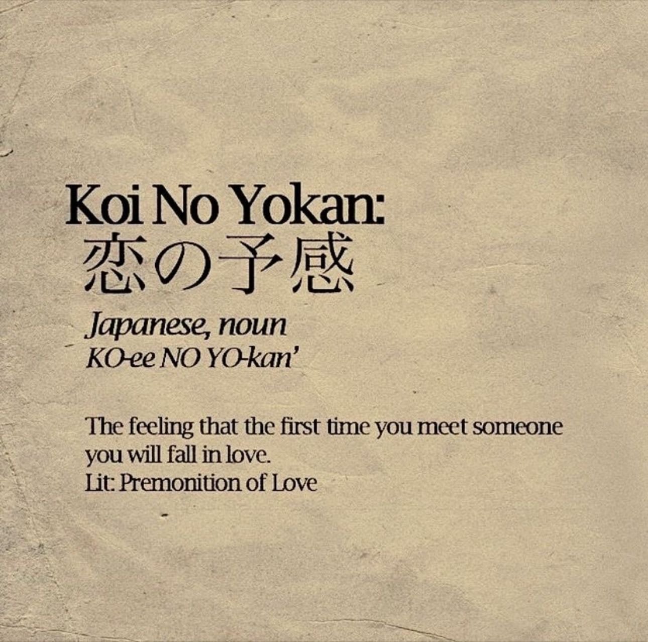 koi no yokan