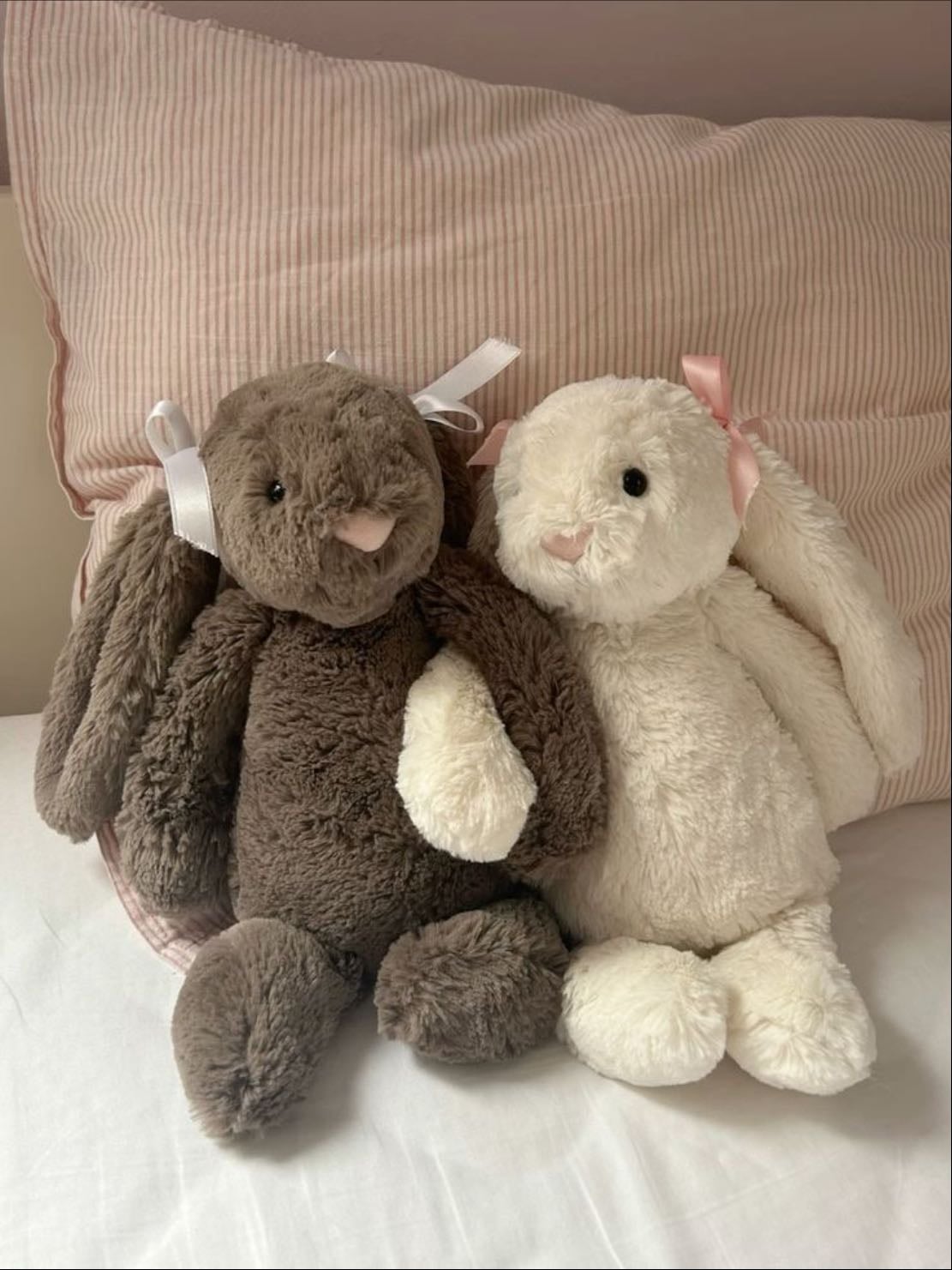stuffed animals