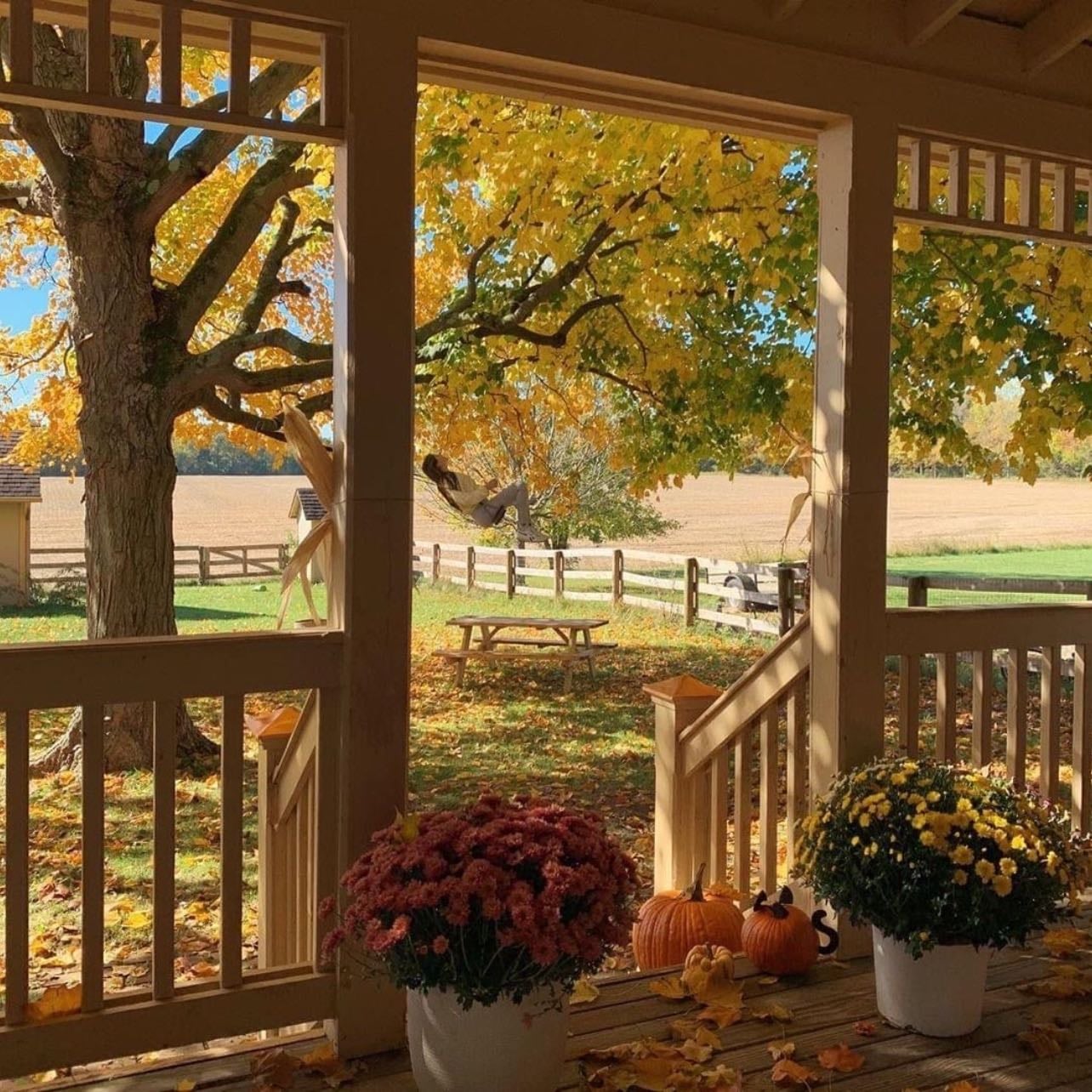 π - I want to live somewhere, where all four seasons exist. Autumn is my second favorite season and I love the pumpkins.