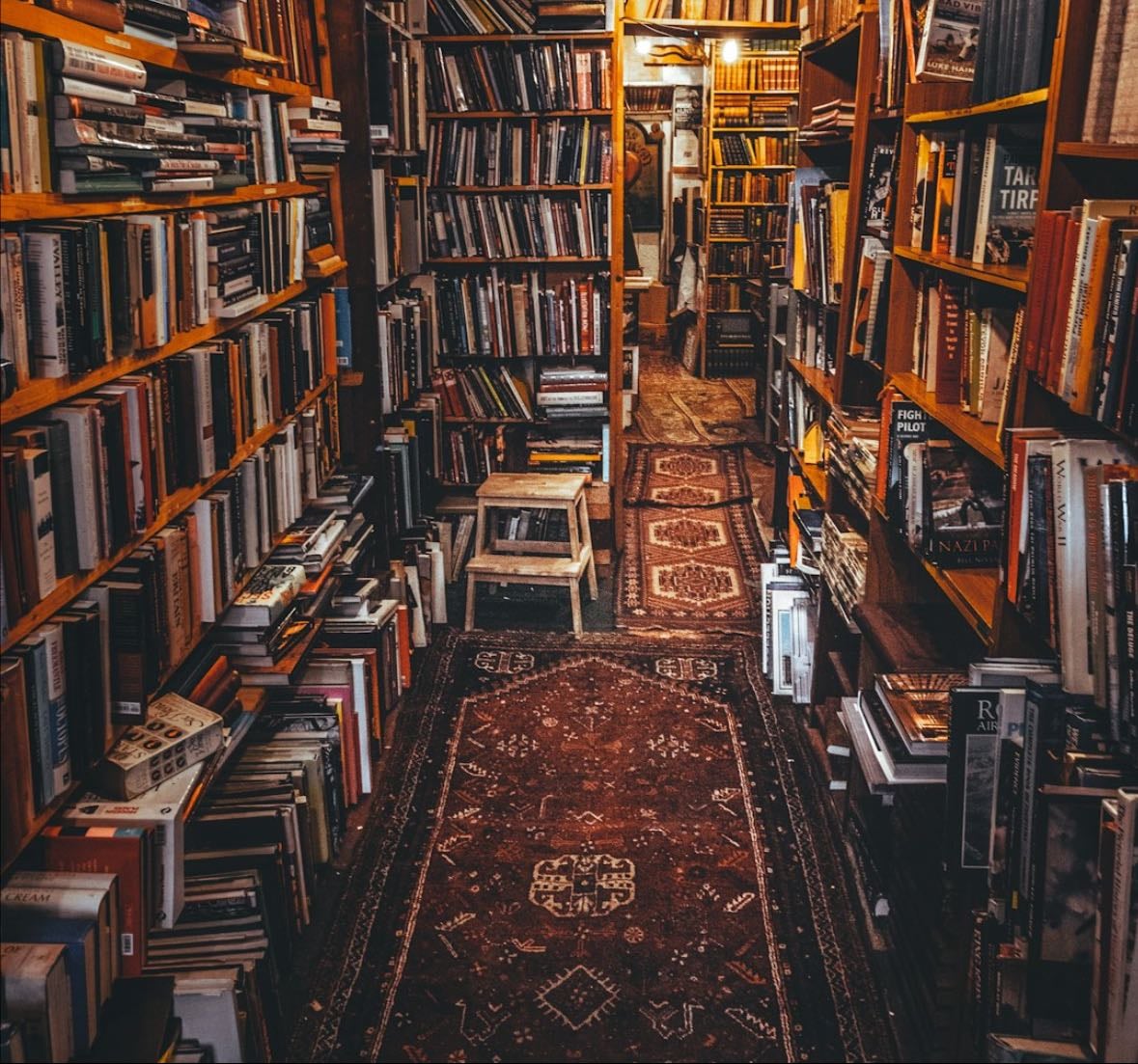 On Being Educated: A TBR List