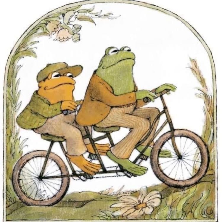 sapo y sepo - son amigos