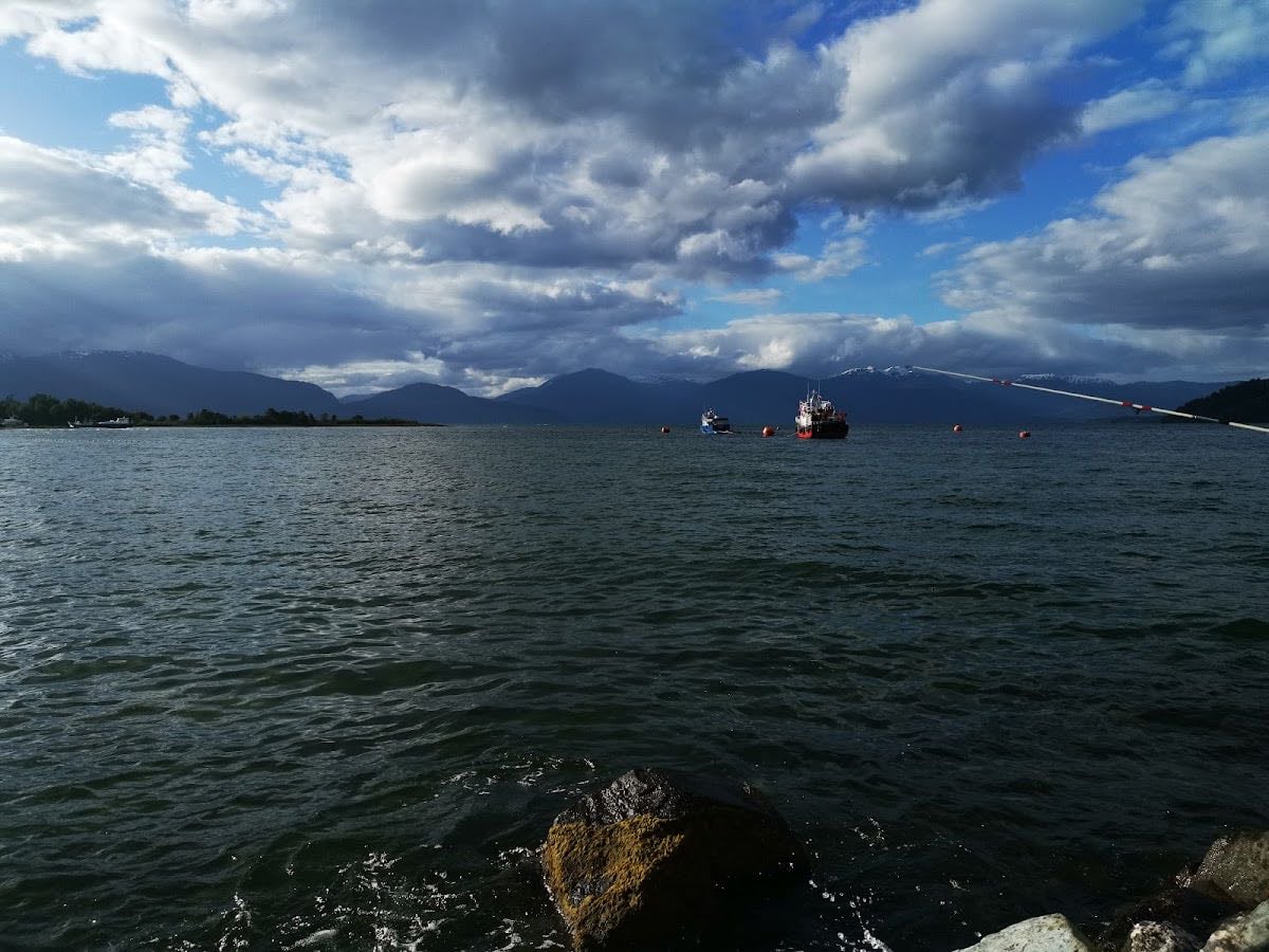Puerto Cisnes