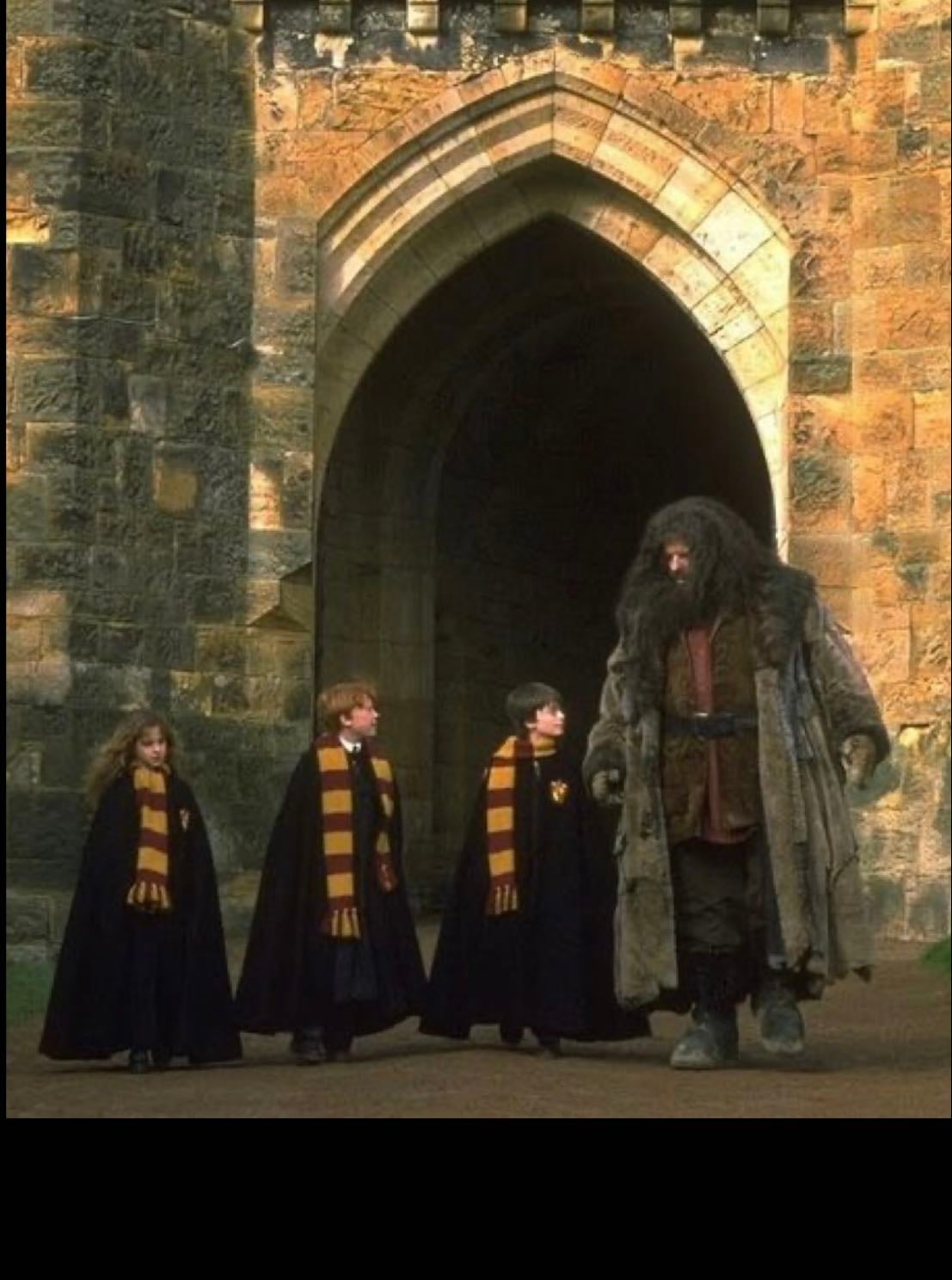 Harry Potter