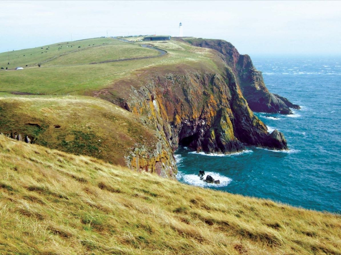 galloway - scotland