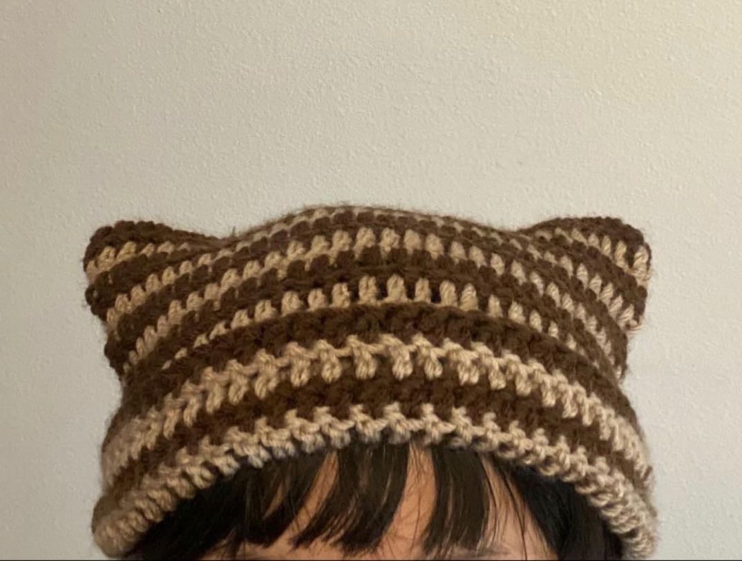 cat ear beanie