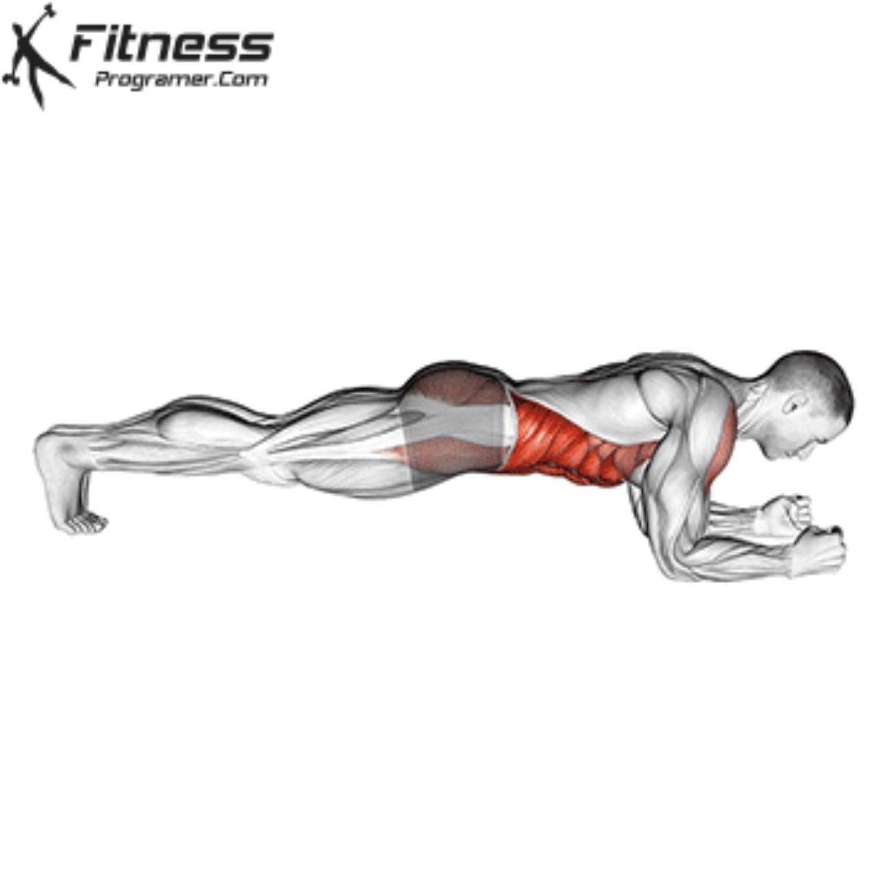 plank - 1 minute plank