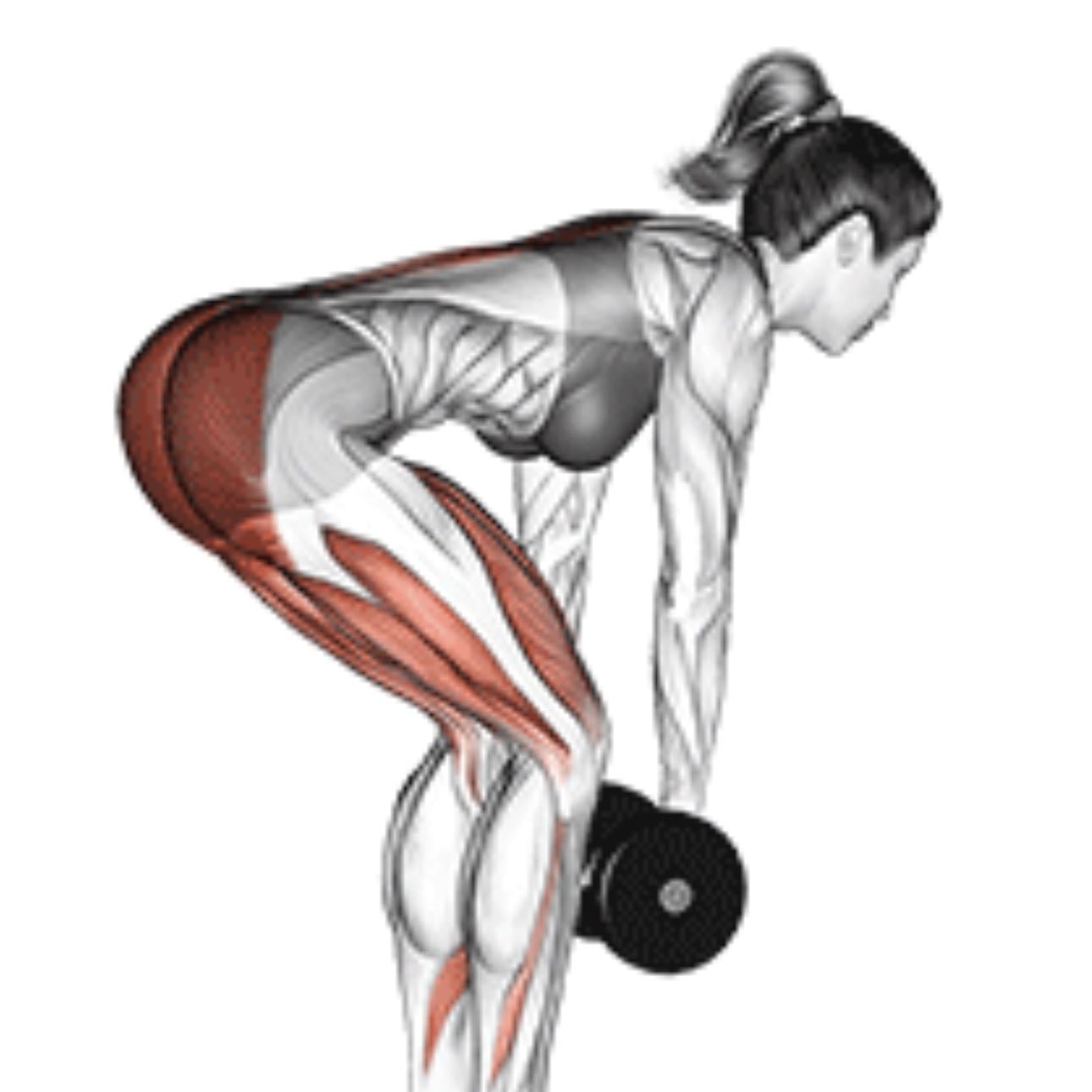 dumbell rdl