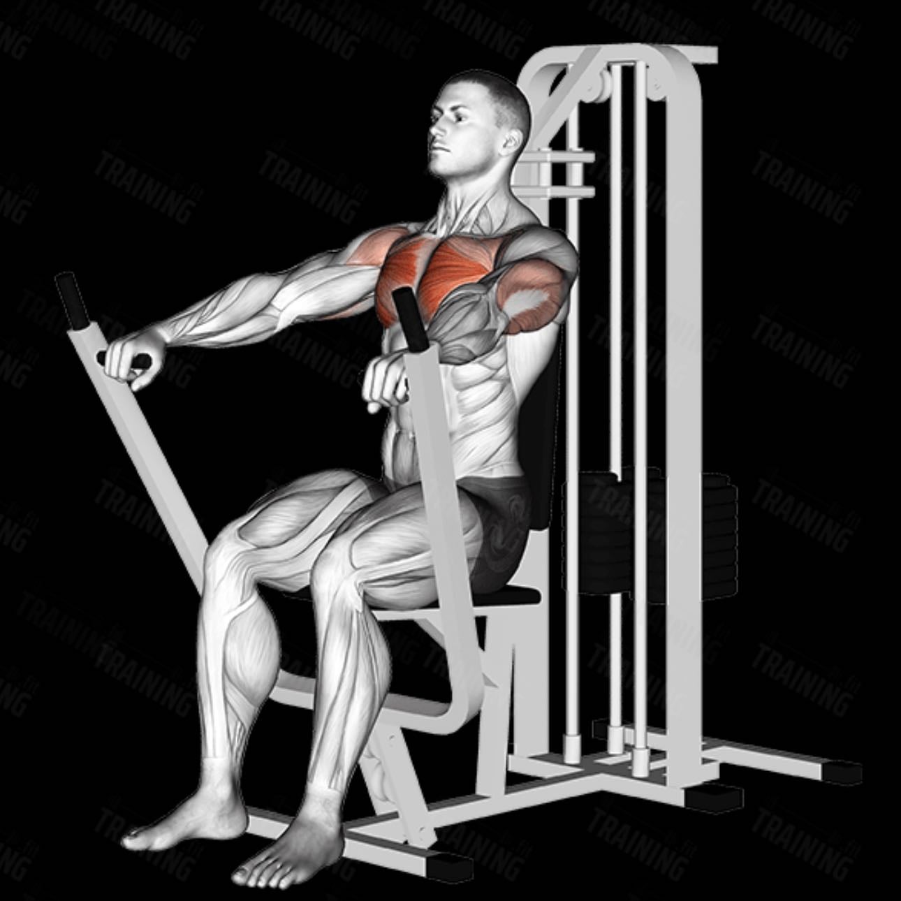 Chest press