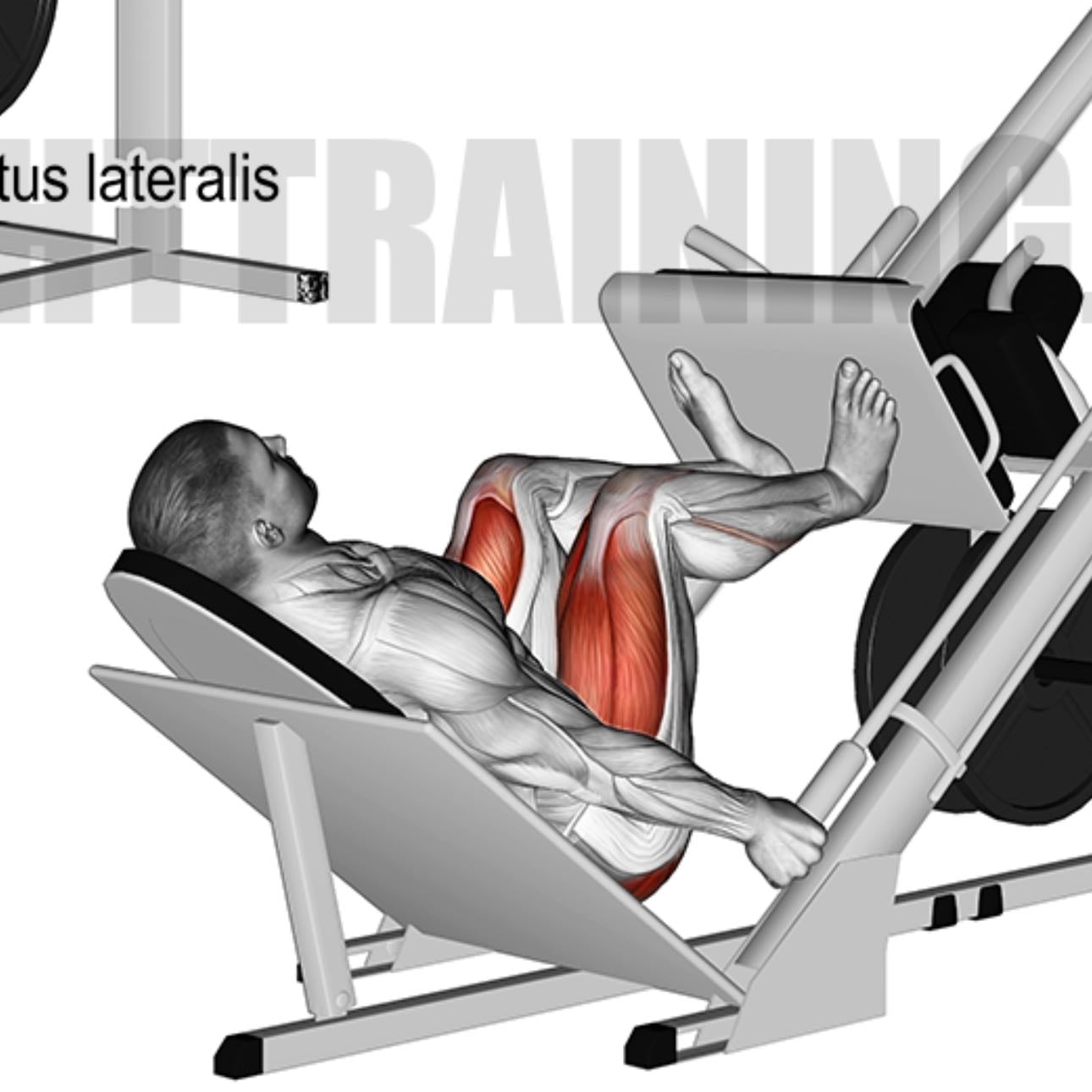 leg press