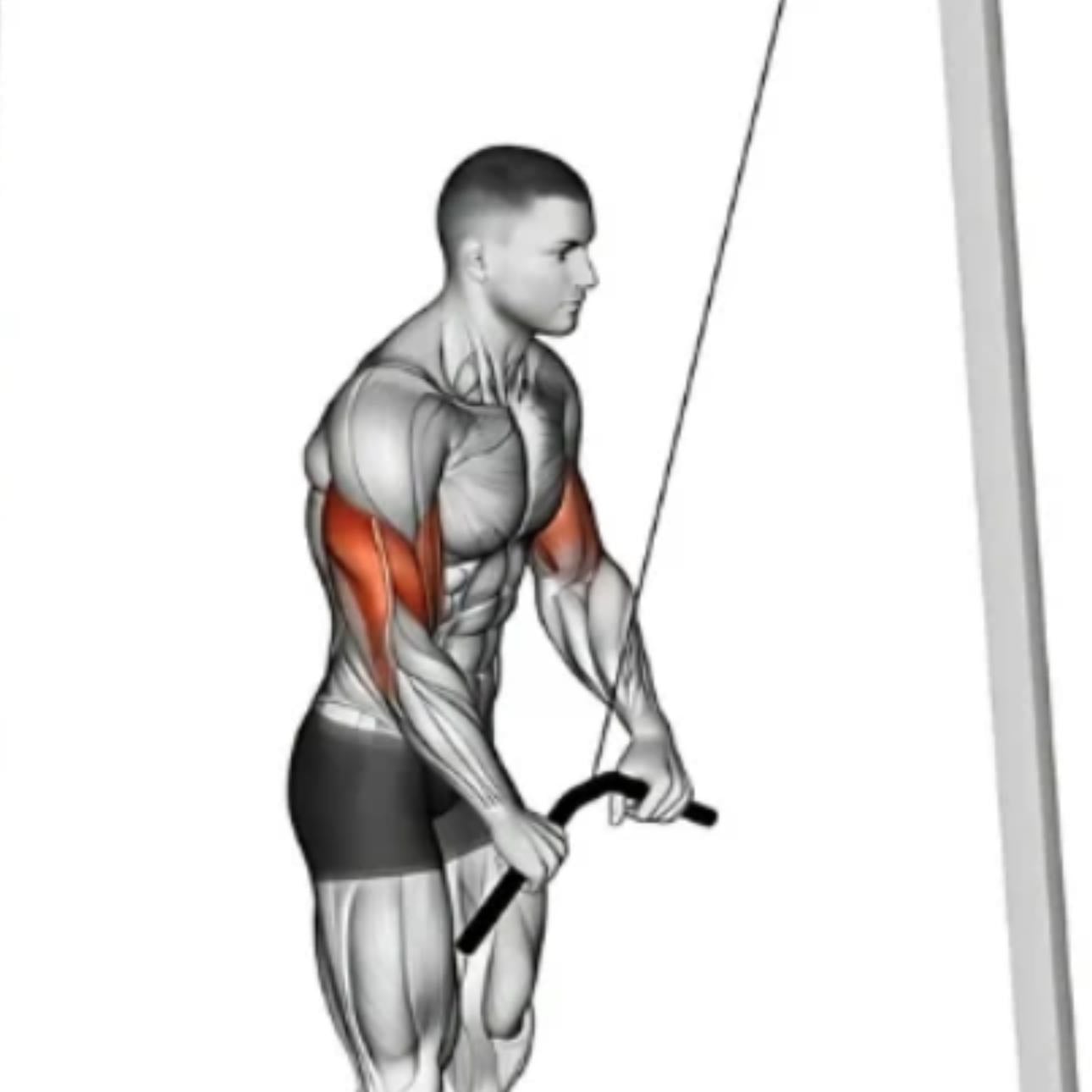 tricep push down