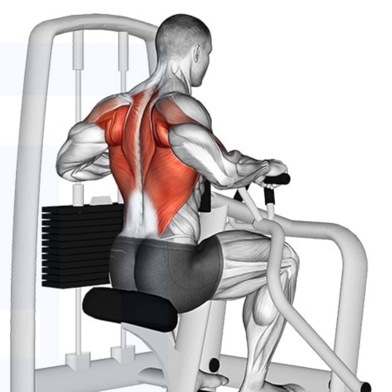seated row machine