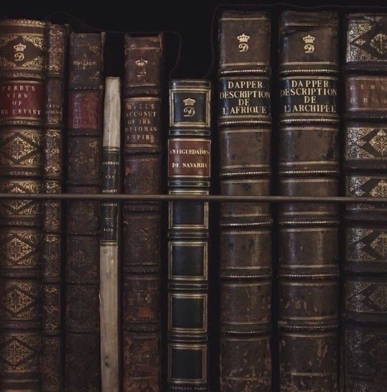 ‧₊˚📜₊˚ Books ⊹🕯️𖥔 ݁ ˖