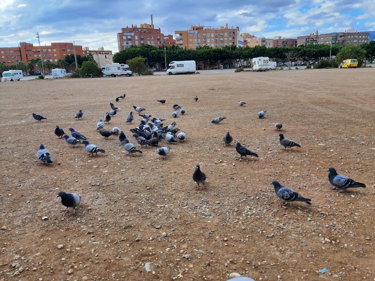 Recinto Ferial Almeria-Al