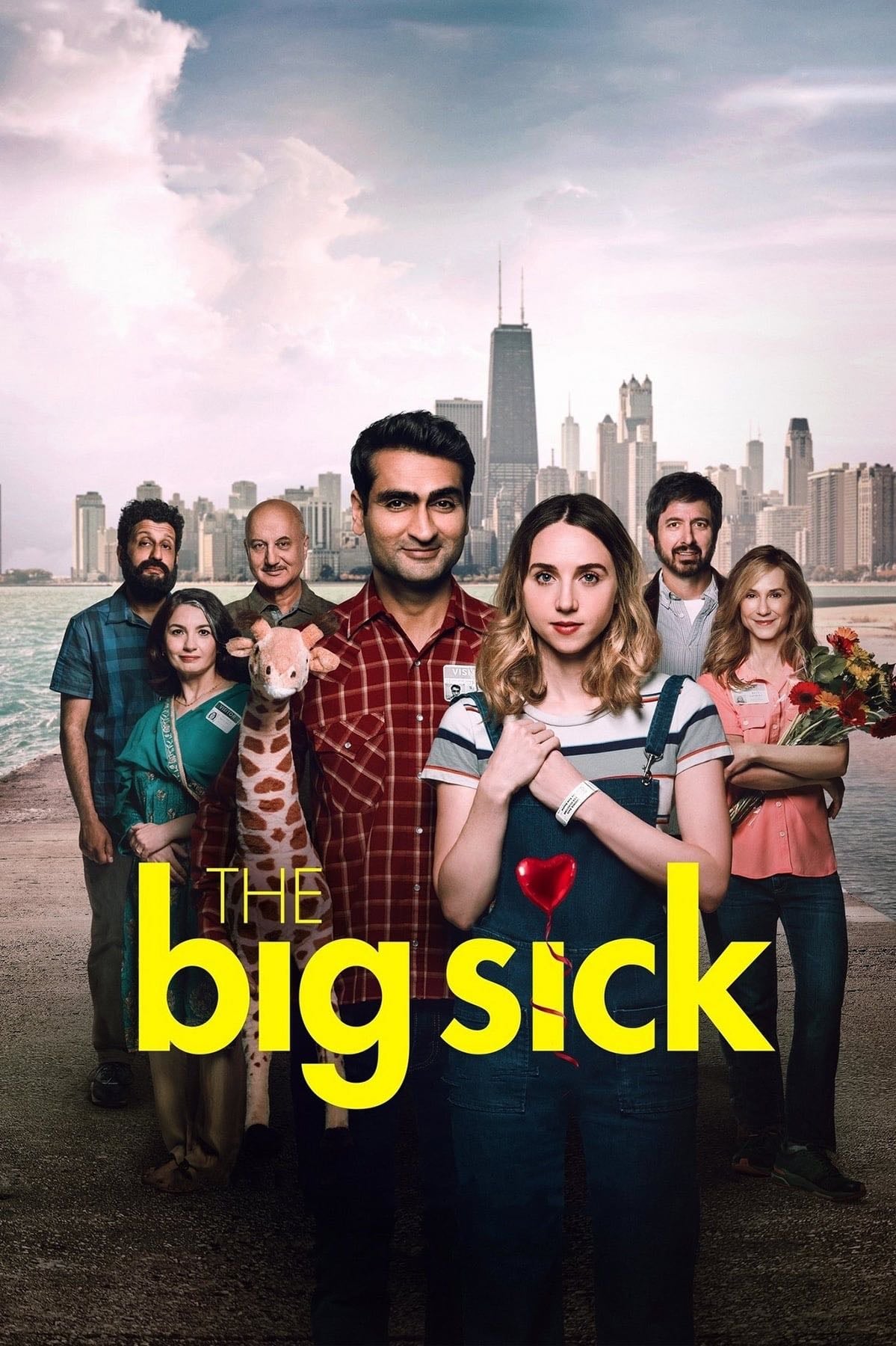The Big Sick - Michael Showalter 路 2017