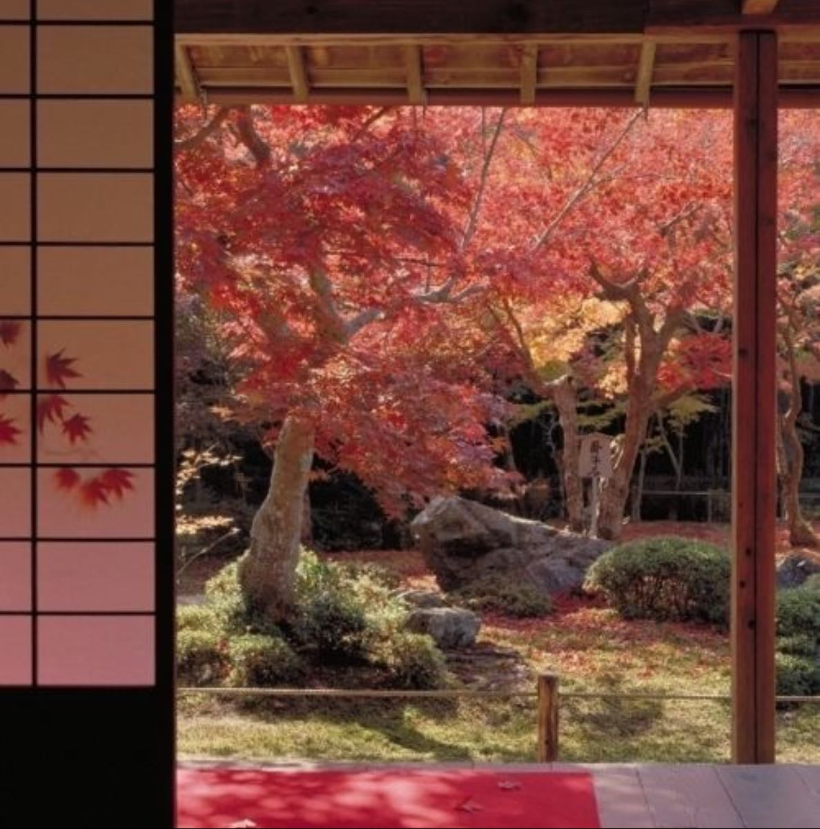Tokyo - Places hypelist by Hannah Olmedo