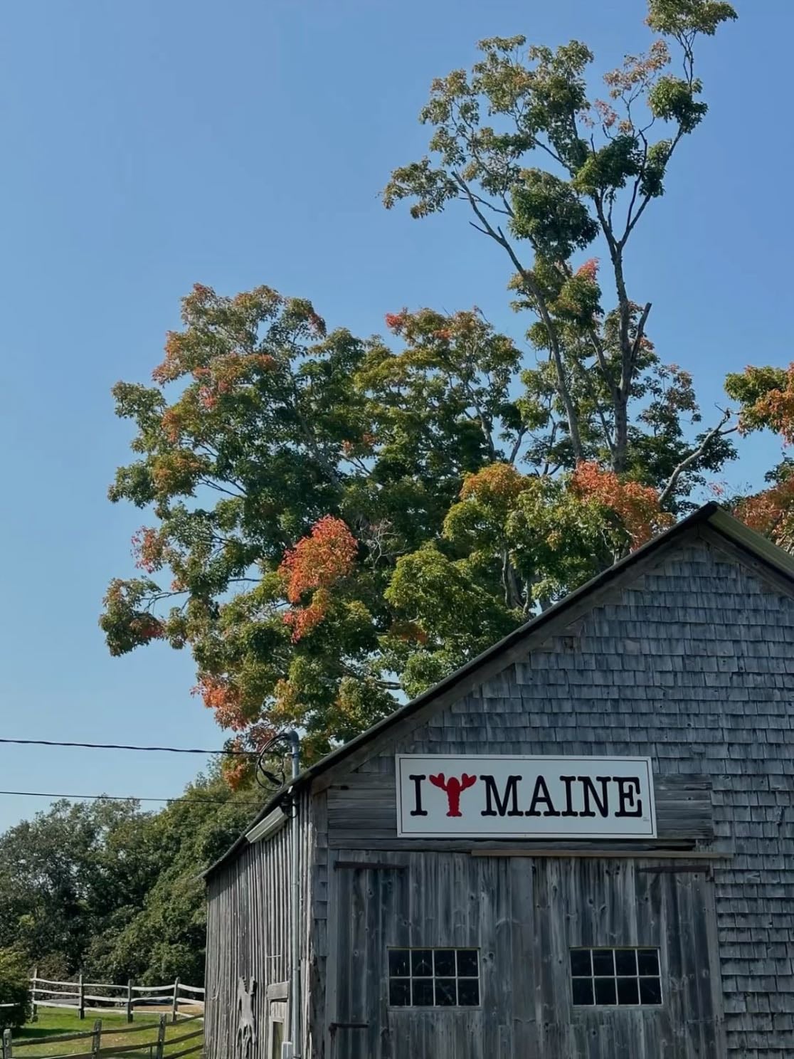 Camden Maine