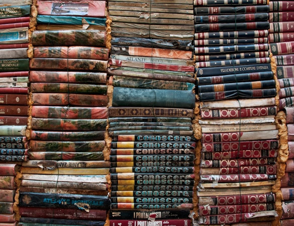 Livros de autores brasileiros - Books hypelist by Giulia Gayoso
