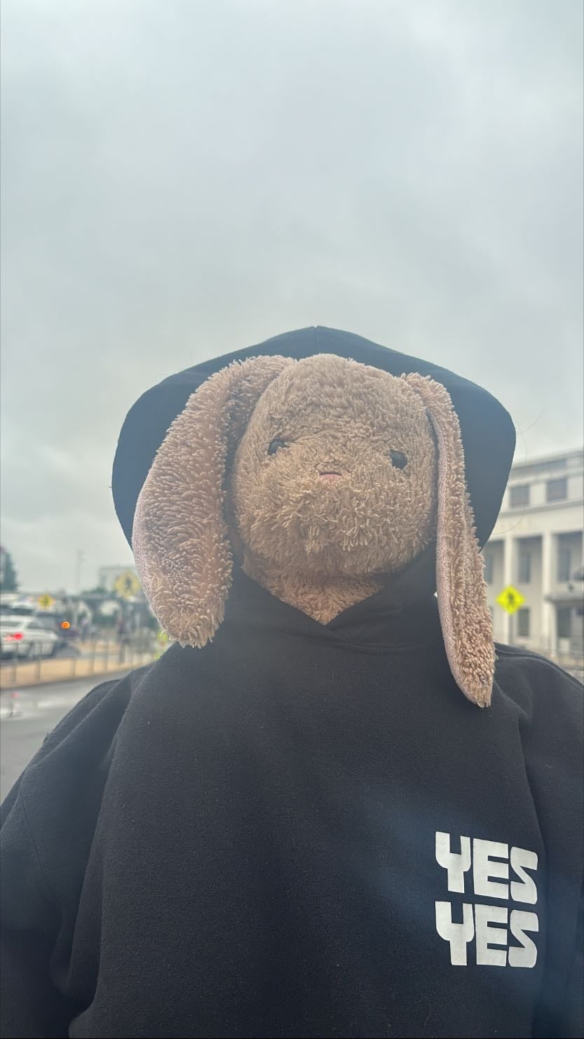 Canelita - My teddy bunny