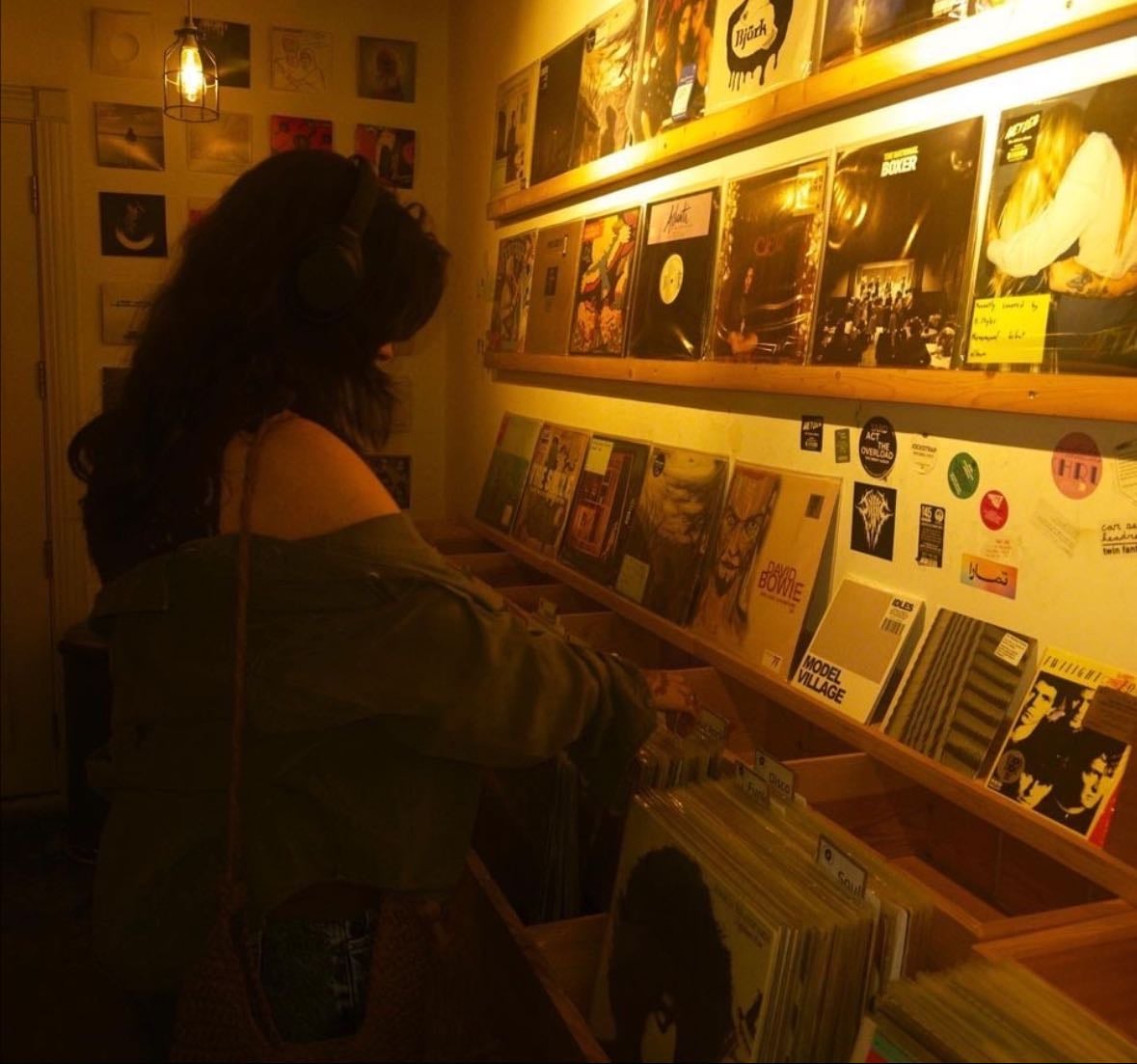 ✩₊˚.⋆ vinyls
