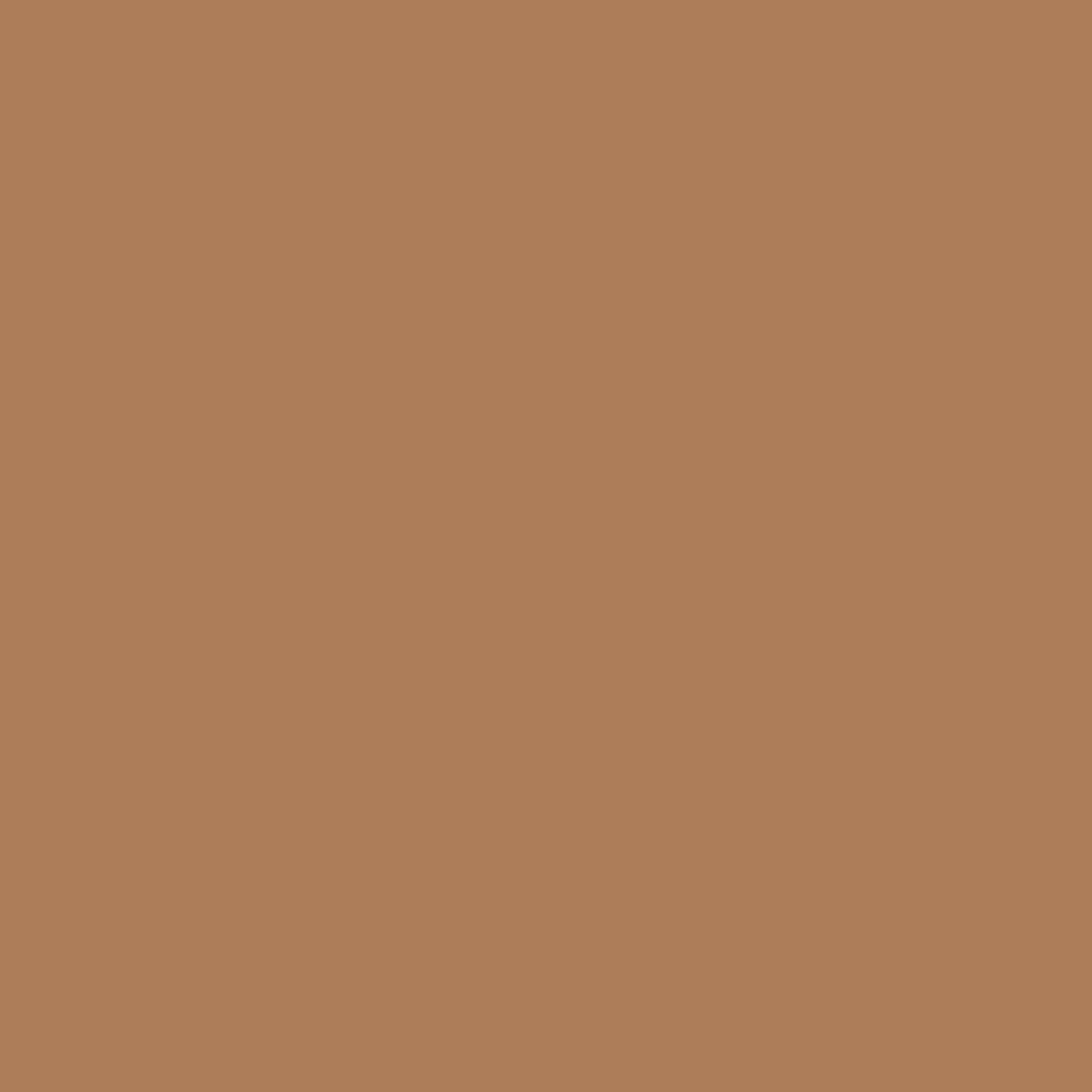 Tuscan Tan - #AD7D59