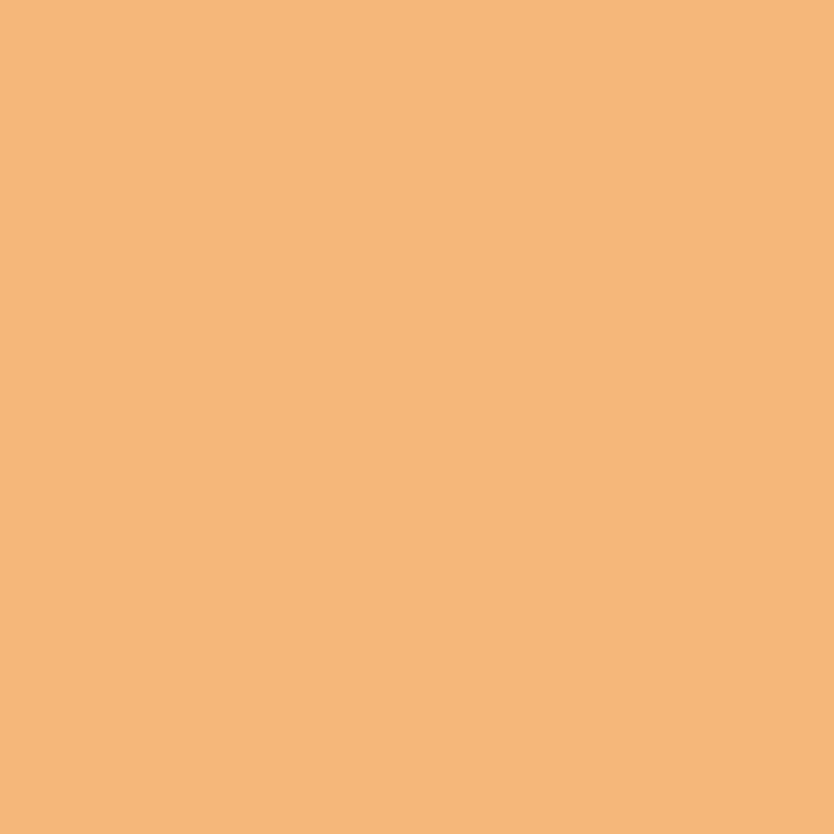 Mellow Apricot - #F5B77A