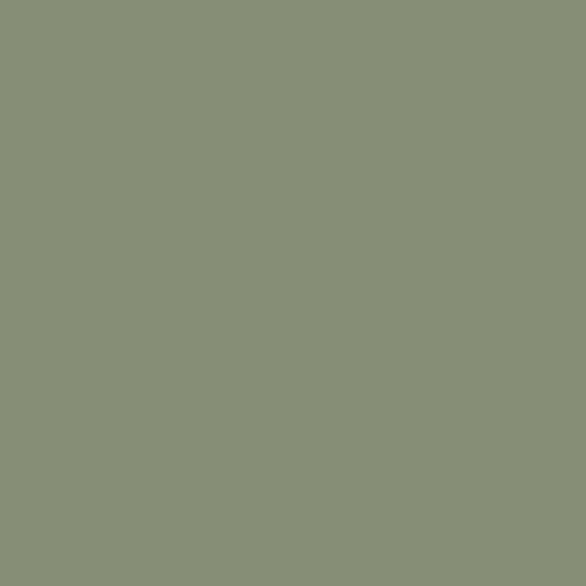 Battleship Gray - #868E76