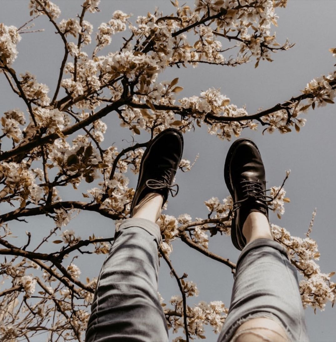 Favorite plants or flowers