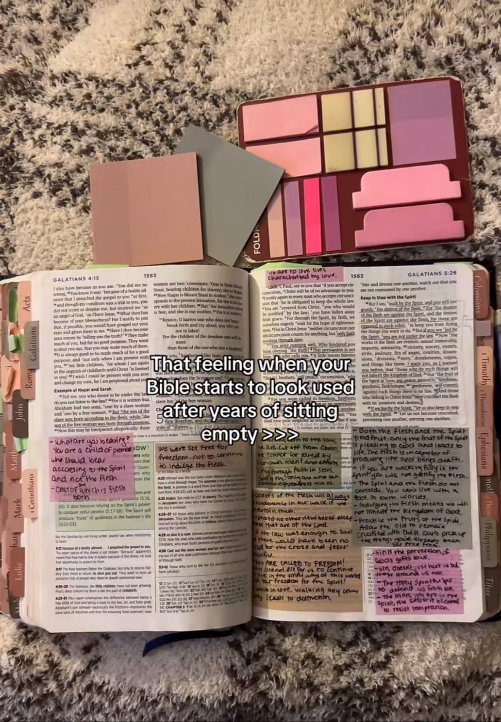 Study Bible