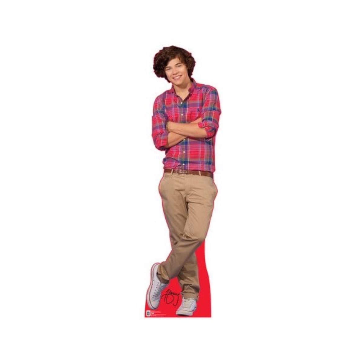 harry cardboard cutout! - 10/10 i have one! he watches me sleep!
