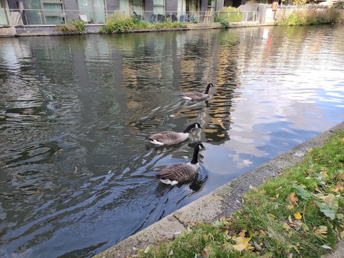 Little Venice