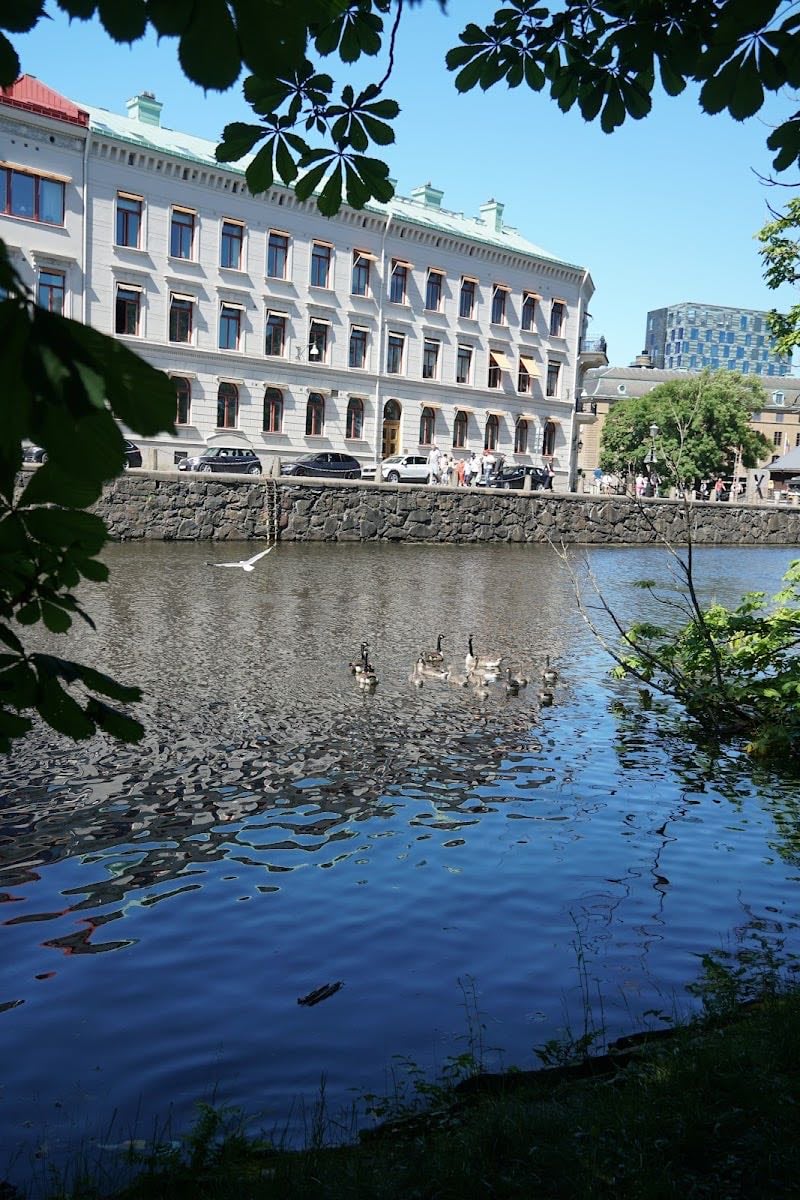 Goteborg