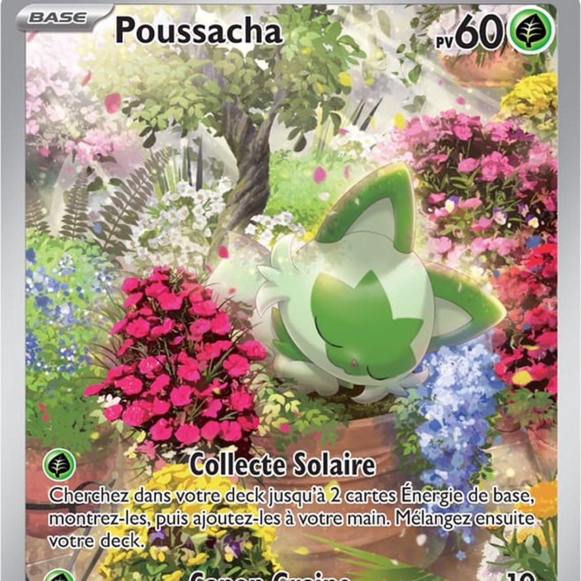 poussacha full art