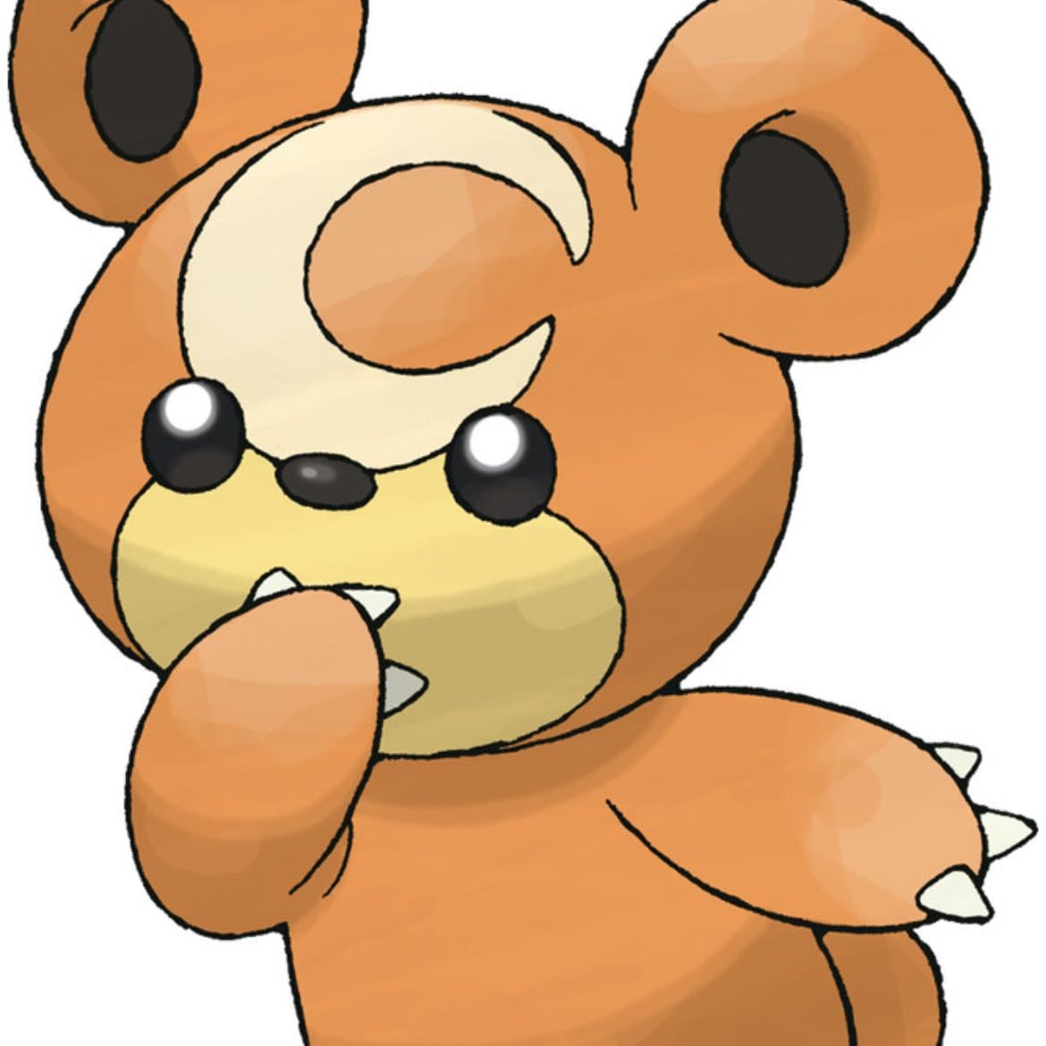 teddiursa