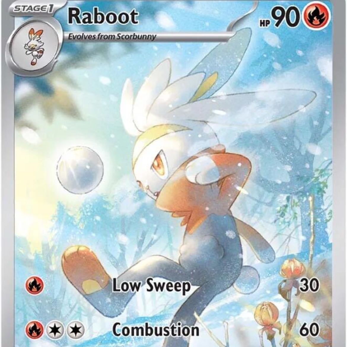 raboot card