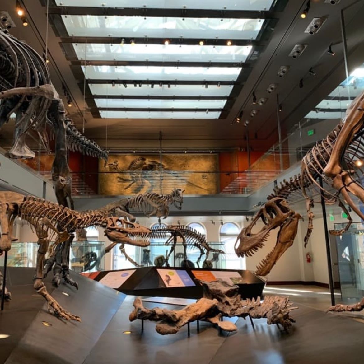 Museo di storia naturale