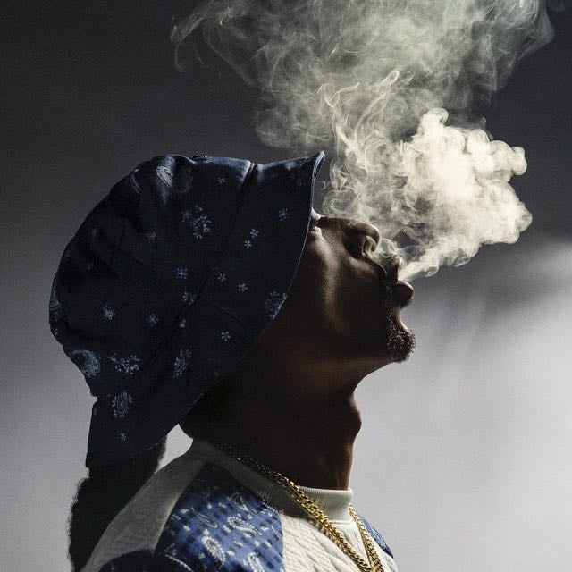 Snoop Dogg - Artist