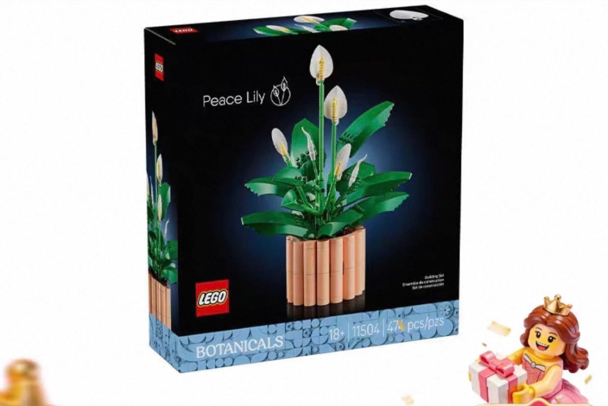 Peace lily