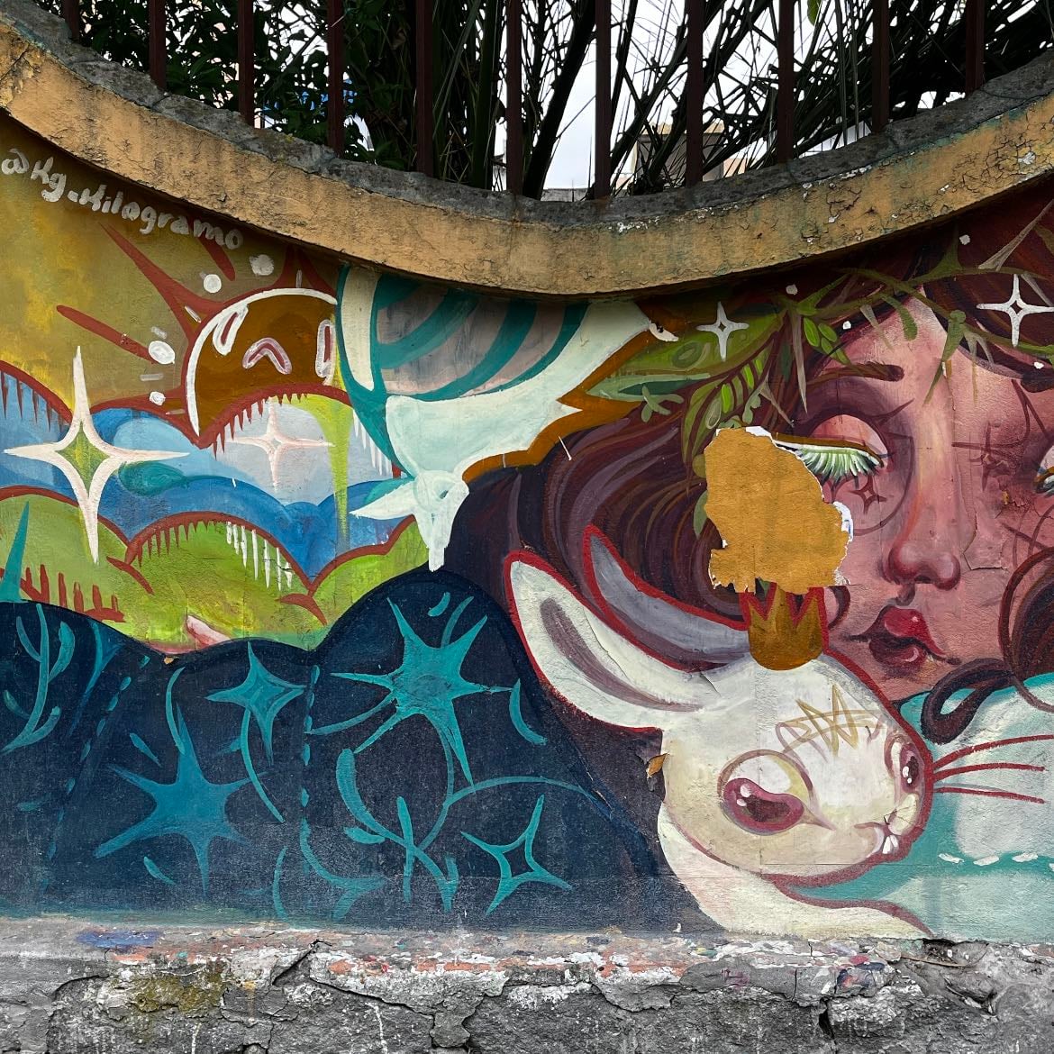 Pontevedra - @Kg_kilogramo