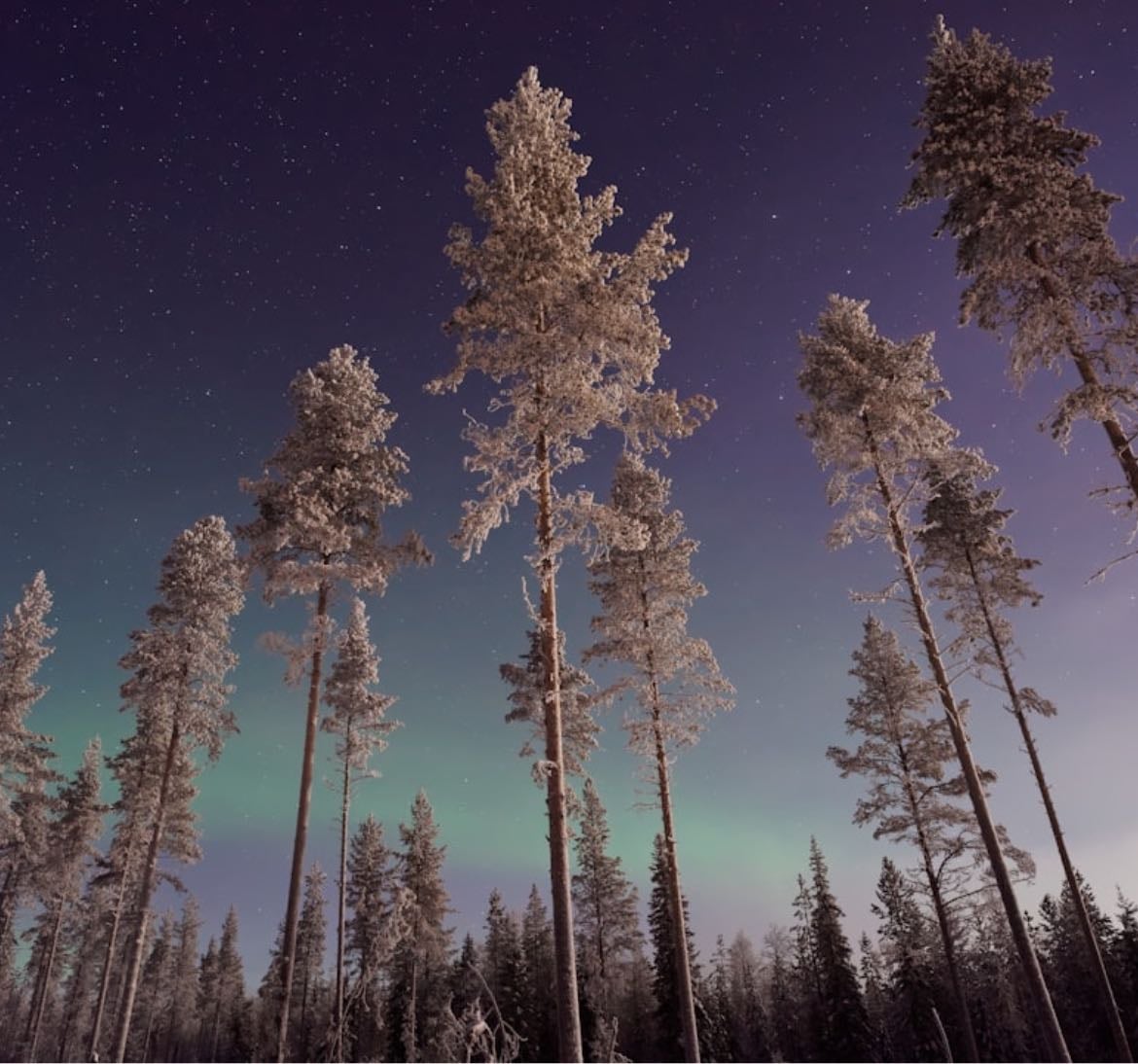 finnish design - Other hypelist by nicole