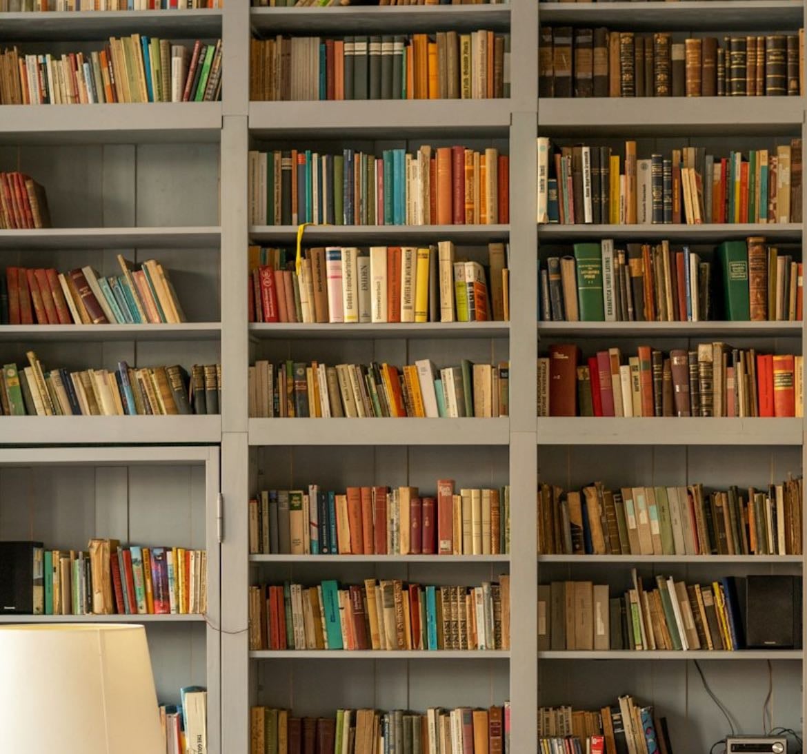 my bookshelf