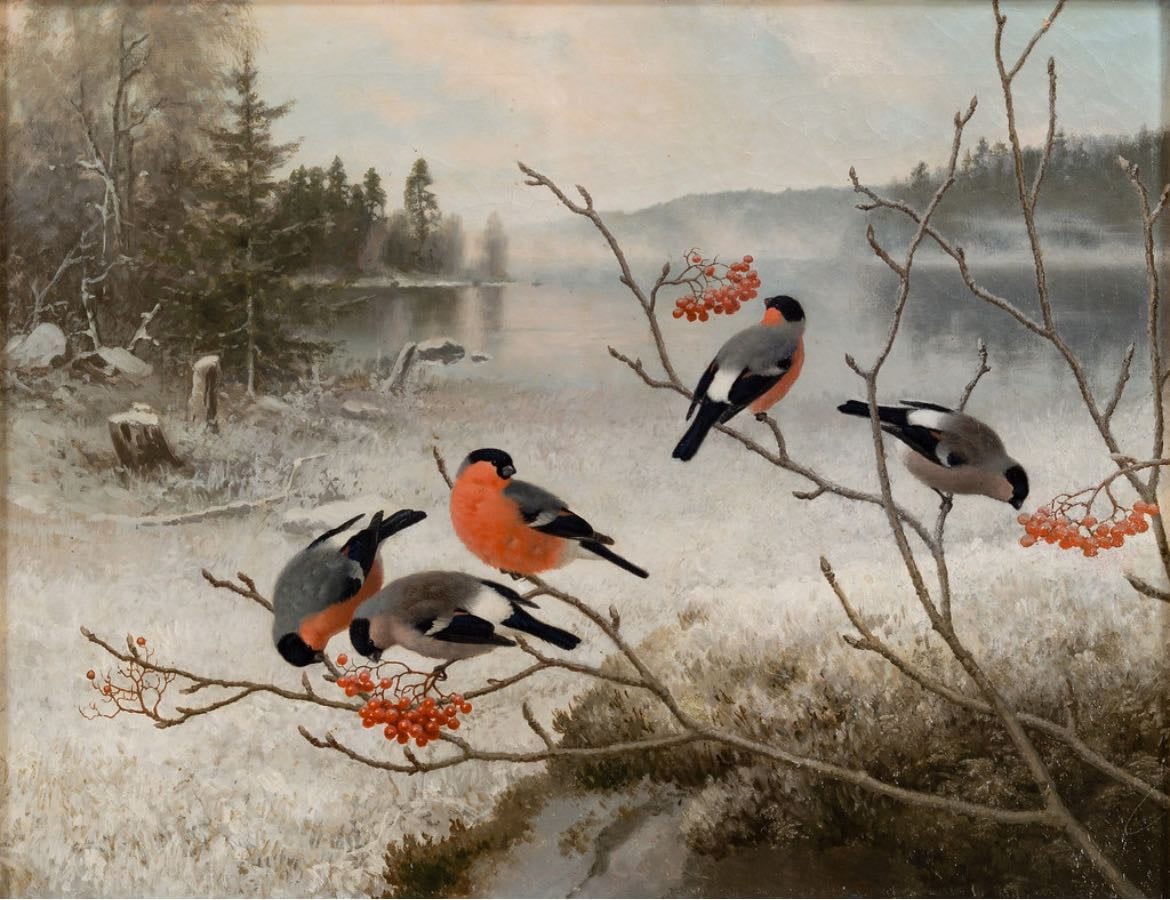 Bullfinches - Ferdinand von Wright
1893