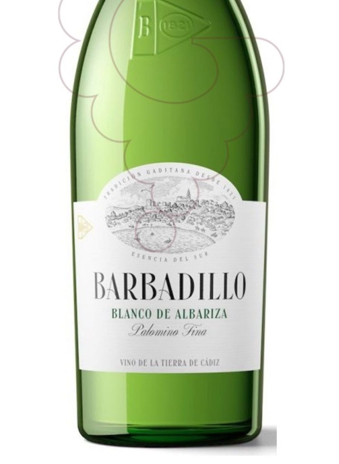 barbadillo