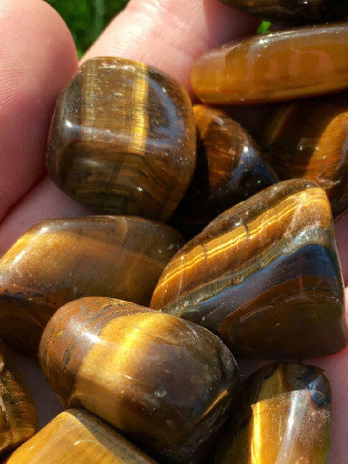 tiger’s eye