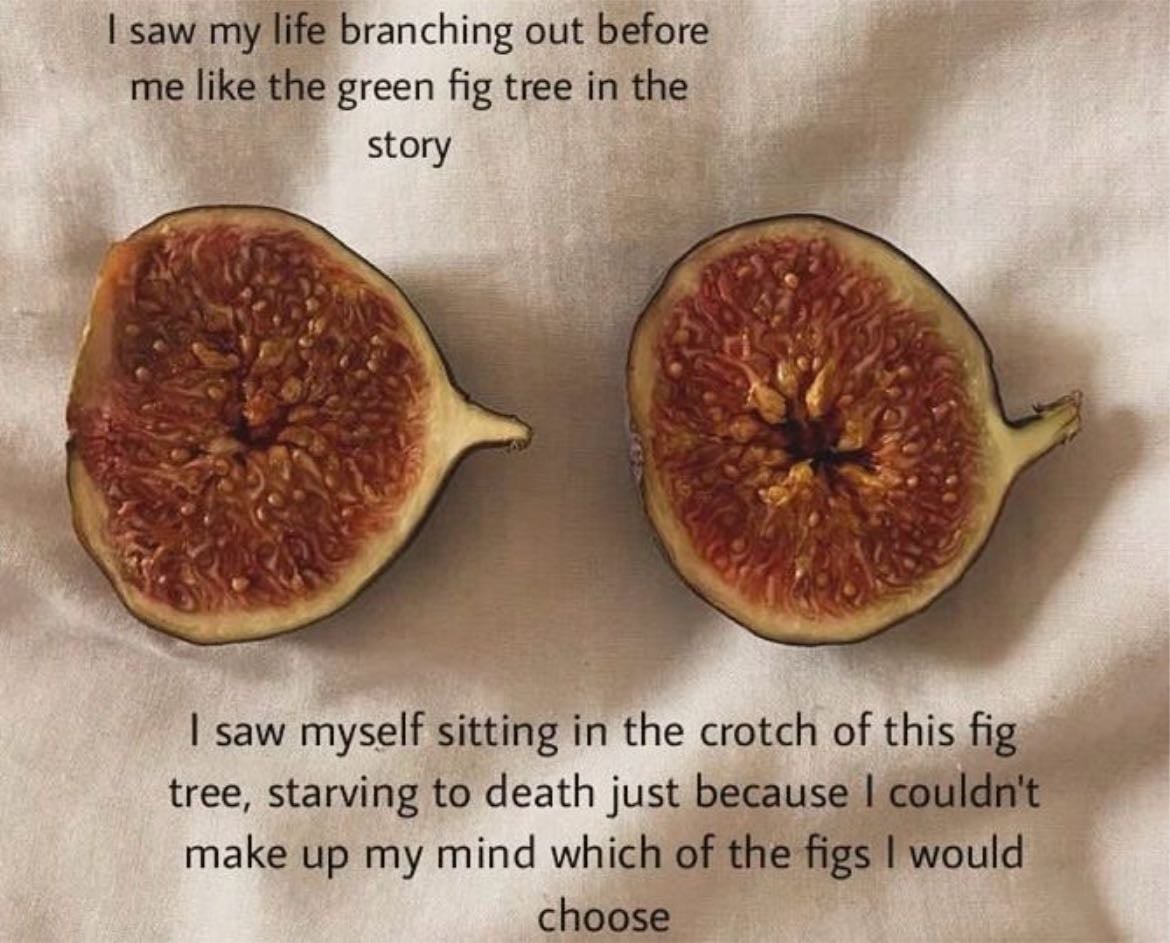 the fig tree analogy