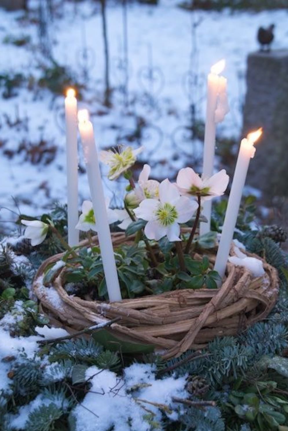 imbolc