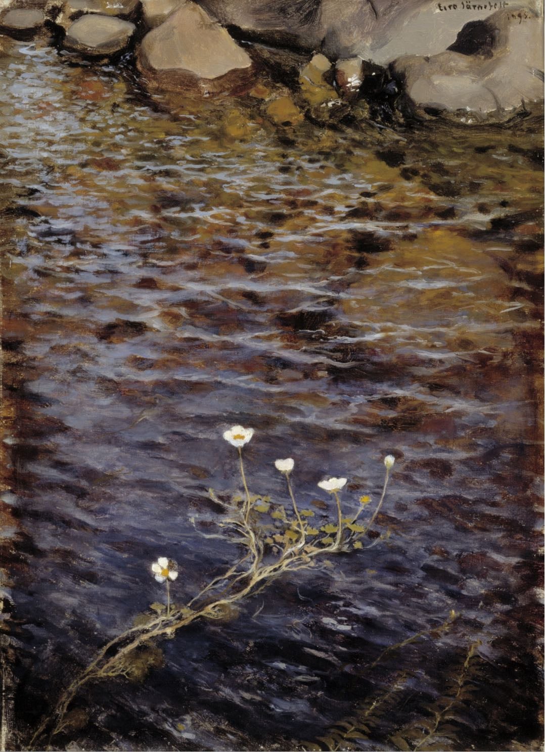 Pond Water Crowfoot - Eero Järnefelt
1895