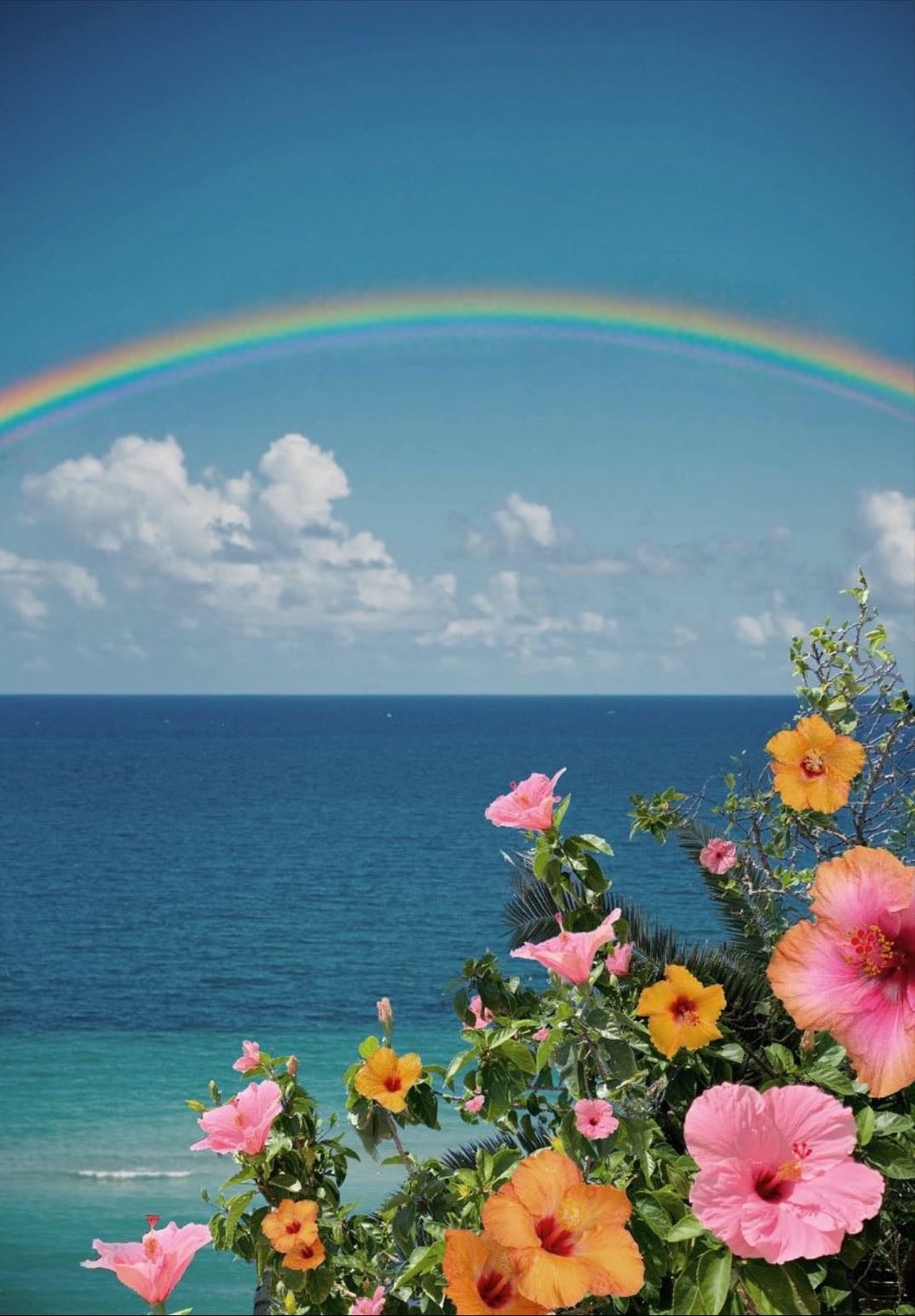 Hawaii 🌺 - Lune de miel