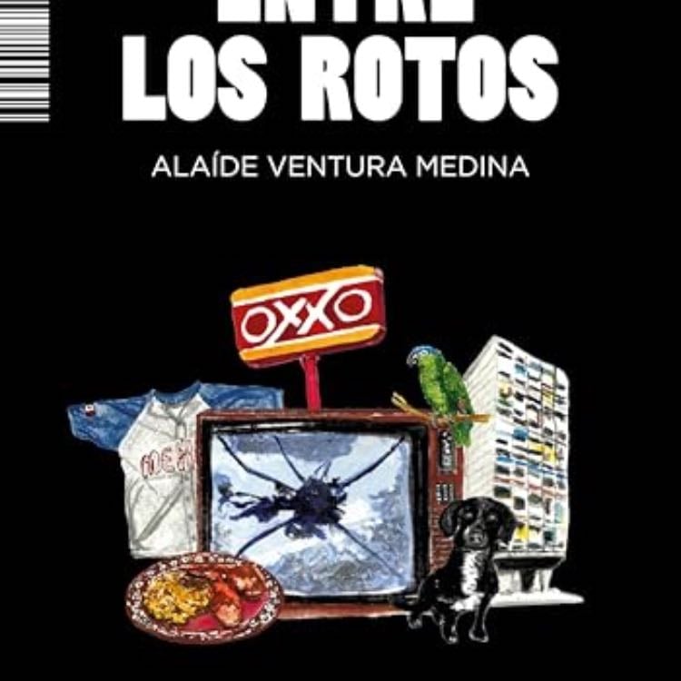 Entre Los Rotos - Alaíde Ventura Medina · 2025